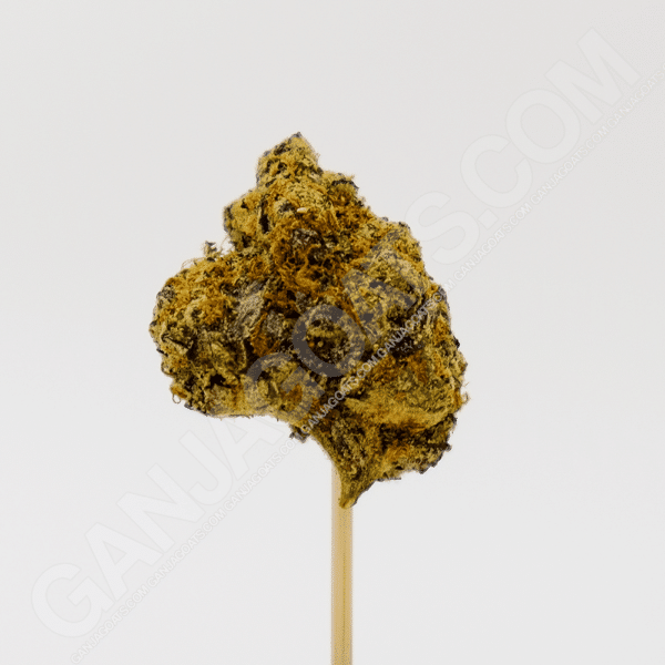 close up photo of an Apple Fritter strain cannabis flower
