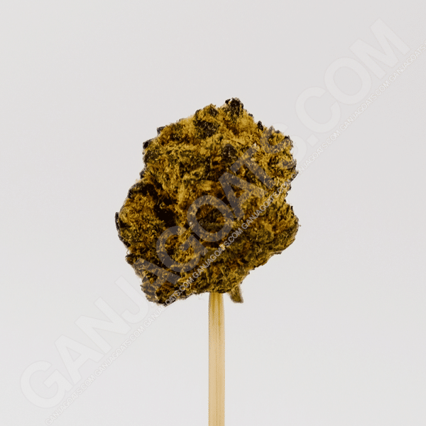 close up photo of an Oreoz strain cannabis flower