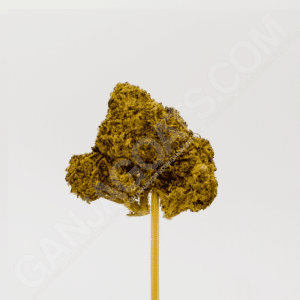 close up photo of a Pineapple OG strain cannabis flower