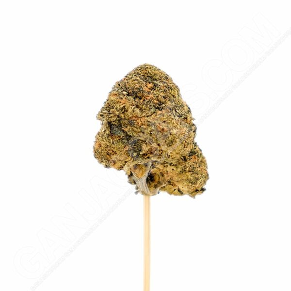 Close up photo of the cannabis strain Superglue.