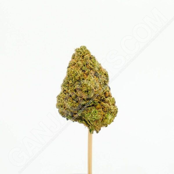 Close up photo of the cannabis strain Apple Tartz.