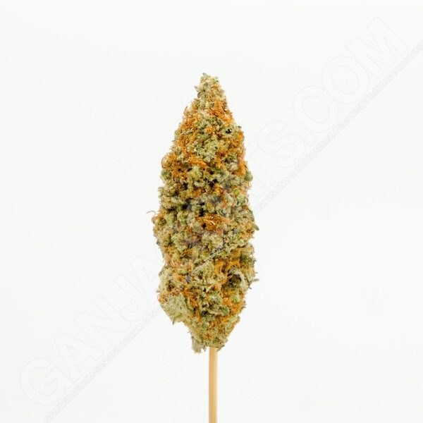 Close up photo of the cannabis strain Rainbow Runtz.