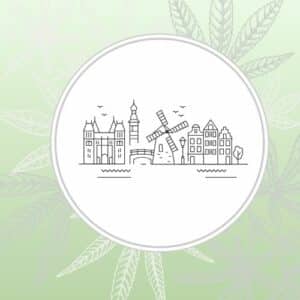 Image depicts a stylized depiction of Amsterdam city over a green background with cannabis leaves
