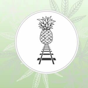 Image depicts stylized pineapple on a train track over a green background with cannabis leaves