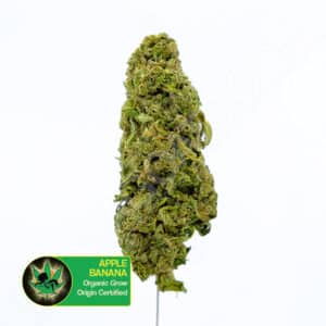 Close up photo of the cannabis strain Apples and Bananas. Text next to the flower states the name of the strain, that it is organically grown, and is origin certified.