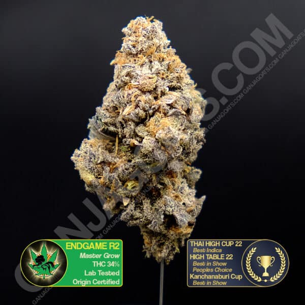 Close up photo of the cannabis strain Endgame R2. Text next to the flower states the name of the strain, that it is organically grown, and is origin certified. A second text area states that it won Best Indica at the Thai High Cup, Best in show and People Choice at High Table, and Best in Show at the Kanchanaburi Cup.