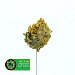 Close up photo of the cannabis strain THC Bomb. Text next to the flower states the name of the strain, that it is organically grown, and is origin certified.