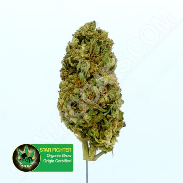 Close up photo of the cannabis strain StarFighter. Text next to the flower states the name of the strain, that it is organically grown, and is origin certified.