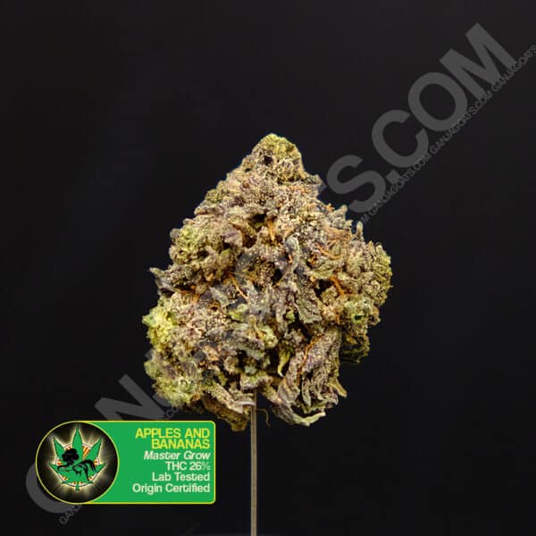 Close up photo of the exotic cannabis strain Apples and Bananas. Text next to the flower states the name of the strain, that it is organically grown, and is origin certified.