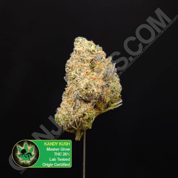 Close up photo of the exotic cannabis strain Kandy Kush. Text next to the flower states the name of the strain, that it is organically grown, and is origin certified.