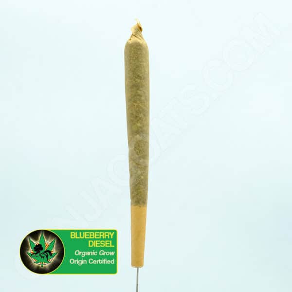 Close up photo of the a pre-rolled joint of the cannabis strain Blueberry Diesel. Text next to the flower states the name of the strain, that it is organically grown, and is origin certified.