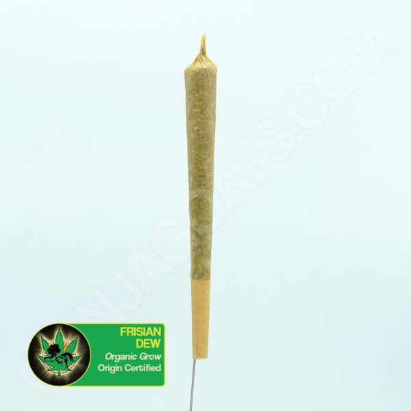 Close up photo of the a pre-rolled joint of the cannabis strain Frisian Dew. Text next to the flower states the name of the strain, that it is organically grown, and is origin certified.