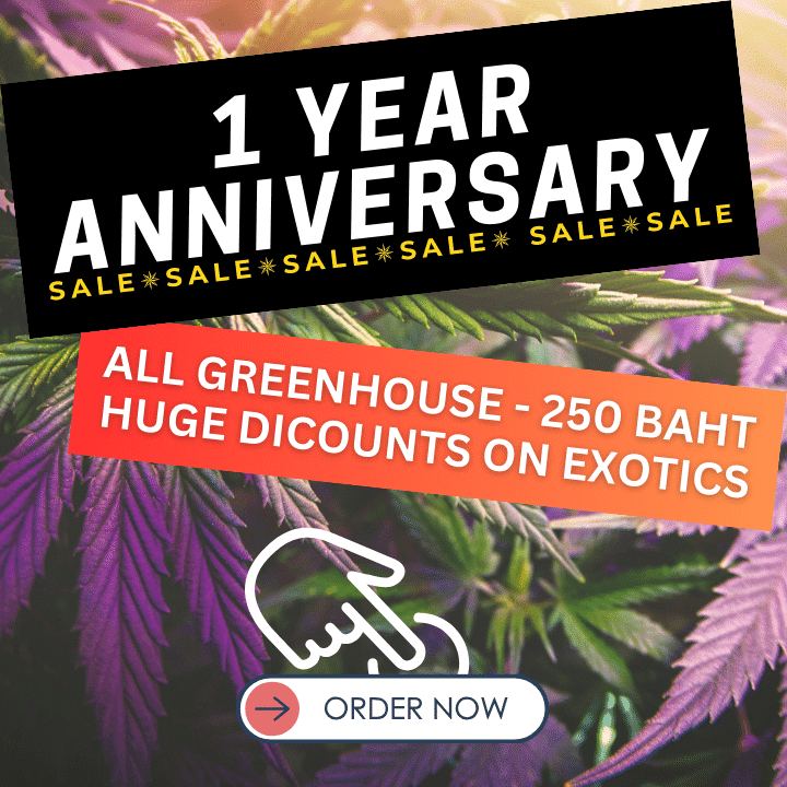 Image of cannabis plants with text stating the online shop's 1 year anniversary sale