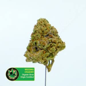 Close up photo of the cannabis strain Wedding Crasher. Text next to the flower states the name of the strain, that it is organically grown, and is origin certified.