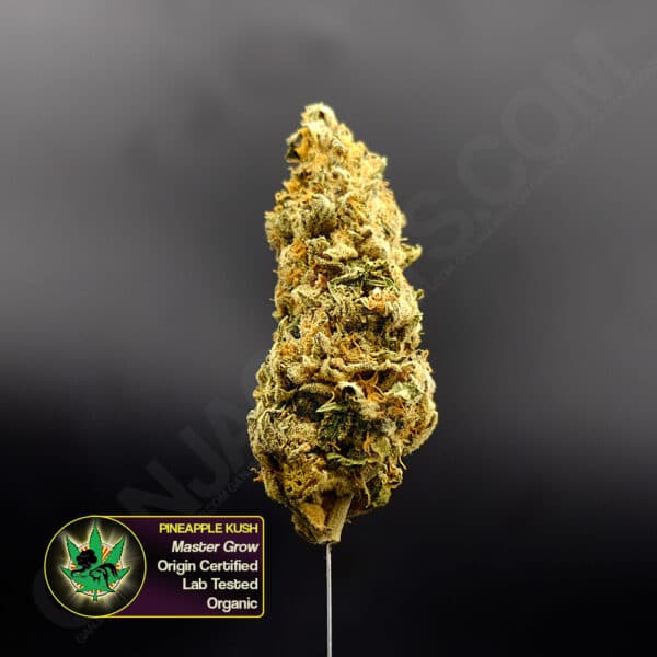 Close up photo of the exotic cannabis strain Pineapple Kush. Text next to the flower states the name of the strain, that it is master grown, is origin certified and lab tested, and organic..