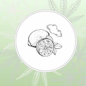 Image depicts a stylized lemon with a cloud over a green background with cannabis leaves