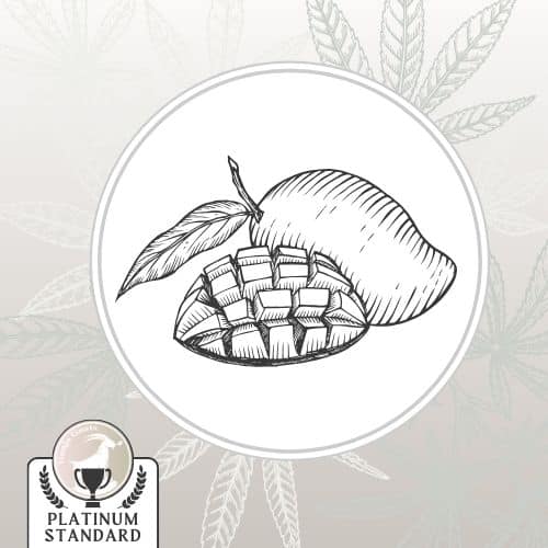 Image depicts a stylized mango and cannabis leaves, text states that it is 'Platinum Standard'