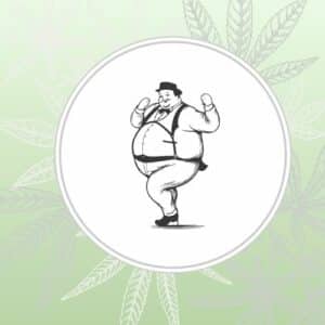 Image depicts a stylized overweight man over a green background with cannabis leaves
