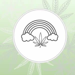 Image depicts a stylized rainbow over a green background with cannabis leaves