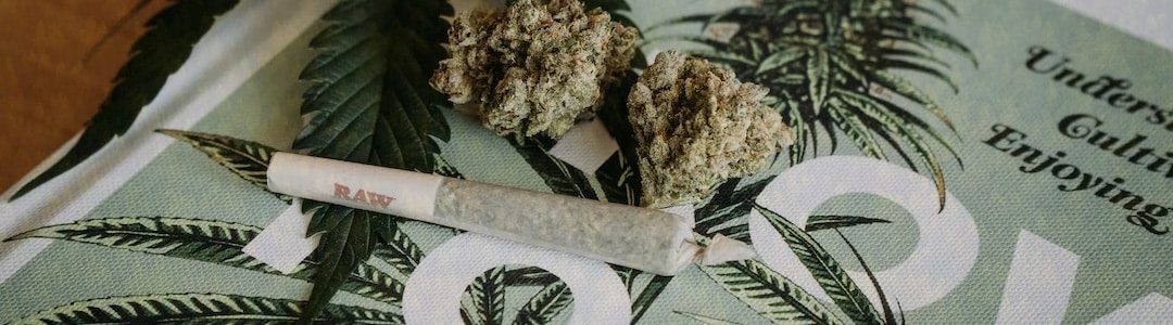 sativa-and-Indica-what-is-the-difference-cannabis-flower-and-joint